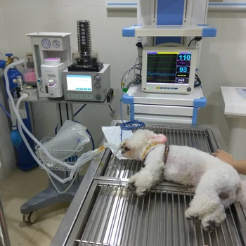 Kerge ja kaasaskantav Veterinaar-anesteesia masin Kliinik Kasutamine Anesteesia Masin Loomade meditsiinitarbed Seadmed
